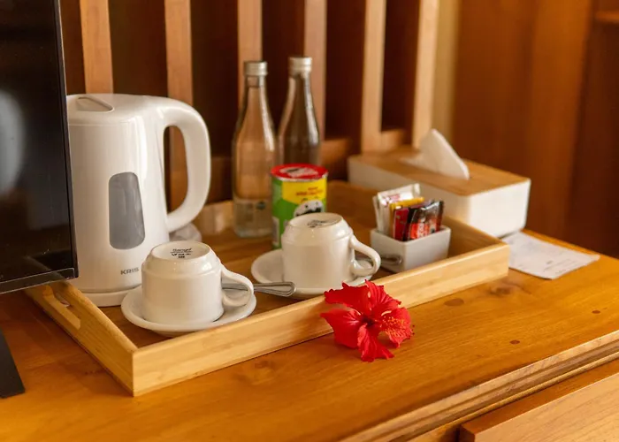 Hotel Saraswati 4*